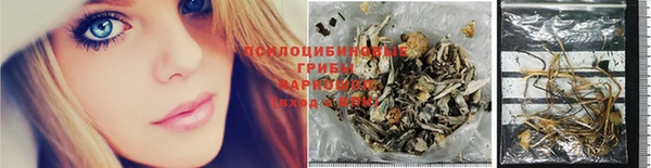 молекула духа Алзамай