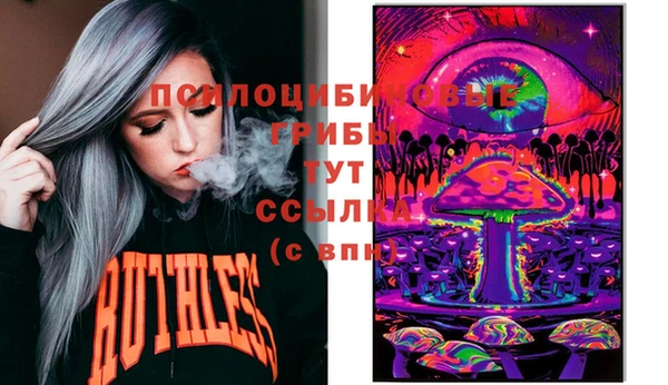 молекула духа Алзамай