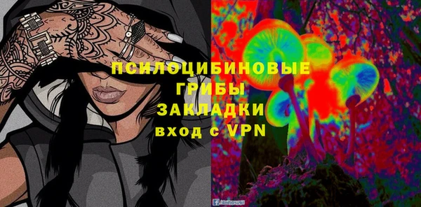 гидра Армянск