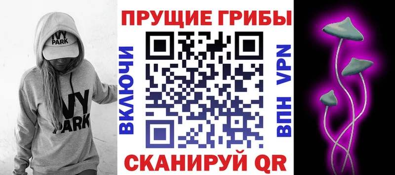 Псилоцибиновые грибы мухоморы  купить наркоту  Ленинск-Кузнецкий 